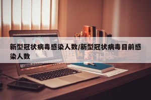 新型冠状病毒感染人数/新型冠状病毒目前感染人数